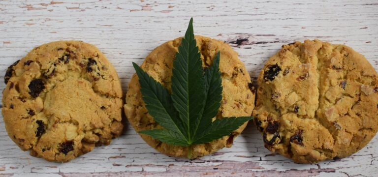 cookies with a marijuana leaf over one remind us that potent pot is more prevalent as is unintentional use