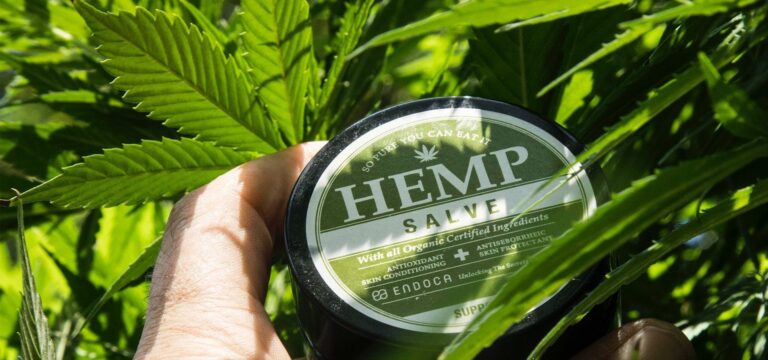 a person holds hemp salve and wonders can cbd help with heroin cravings