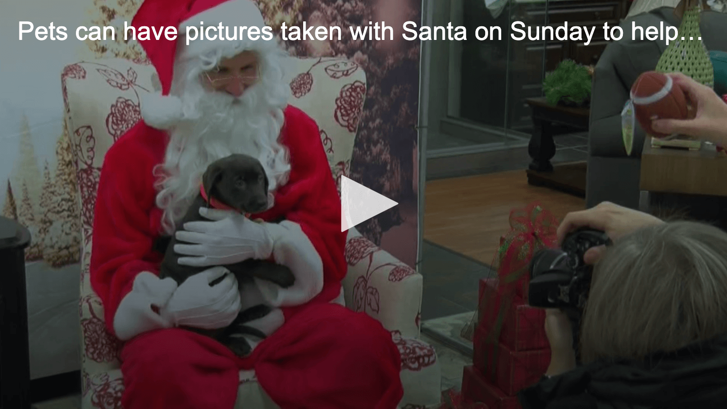 Santa Sunday with pets